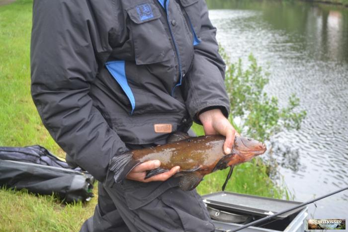 kanaal coevorden zwinderen1